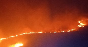 Aproape 100 de hectare de teren au fost afectate în urma incendiilor , în Hunedoara