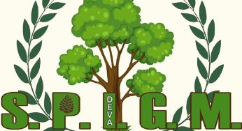 Serviciul Public de Întreţinere şi Gospodărire Municipală Deva (S.P.I.G.M) efectuează o serie de lucrări de întreţinere a spaţiilor verzi, trecerea de la primăvară la vară solicitând acţiuni specifice.