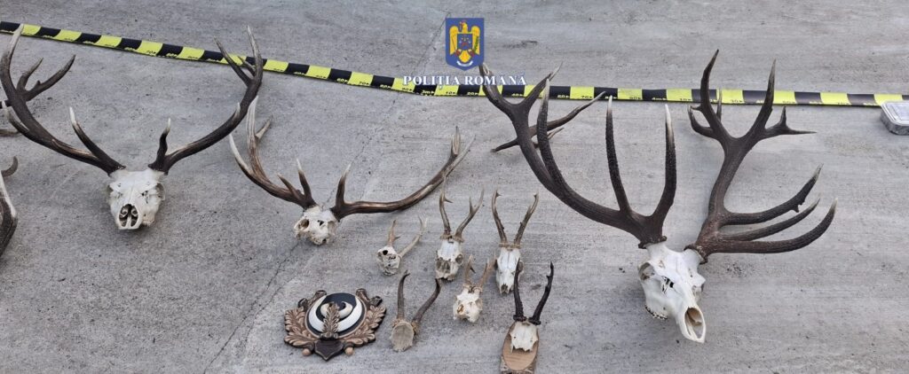 WhatsApp Image 2025-09-23 at 14.03.23