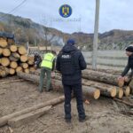 Acțiuni decisive pentru combaterea ilegalităților silvice în județul Hunedoara