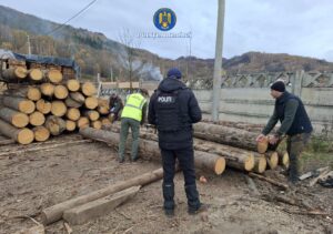 controale-ilegaitati-silvice-hunedoara